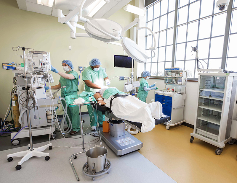 People wearing OR scrubs move around patient mannikin in bed and operate equipment in large, well-lit room