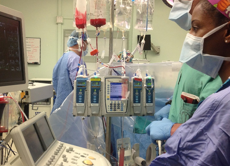 Anesthesiology Residency TEE Rotation at Wake Forest School of Medicine