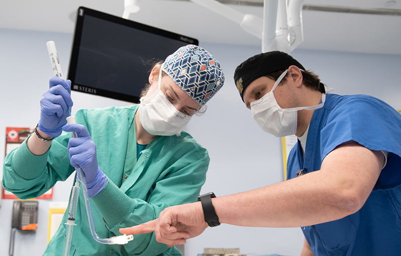 Two people in surgical scrubs examine a tube