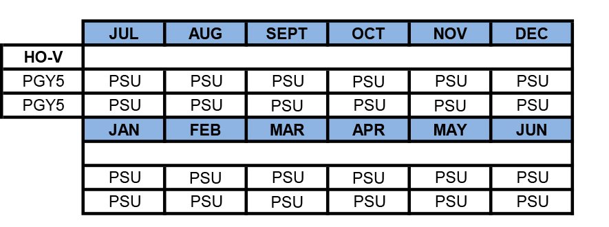 Example block schedule for fifth-year residents in plastic and reconstructive surgery.