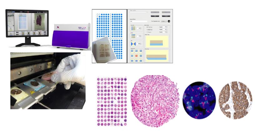 Human Pathology Lab - Tumor Tissue and Pathology Shared Resource | Wake ...