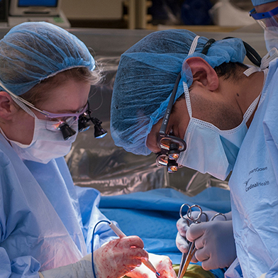 Leagle Com A Leading Provider Of Copies Of Primary Caselaw From All Federal Courts And All State Higher Courts