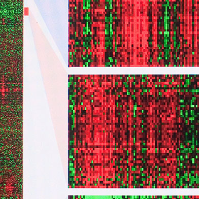  PhD Program in Molecular Genetics and Genomics at Wake Forest School of Medicine