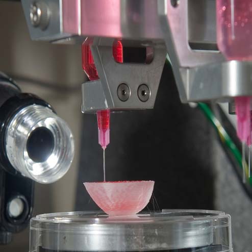 Translational Biotechnology (MS)