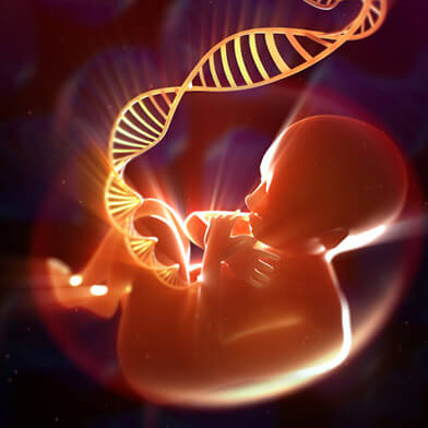 Fetal Research and Therapy Program