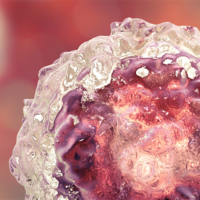 Annual Regenerative Medicine Essentials Summer Course