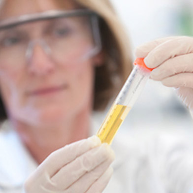 Visiting Scholars Program (VSP)