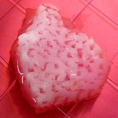 Replacement Organs and Tissue